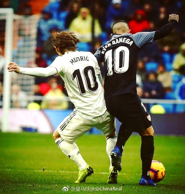 从冠军婚礼看婚宴用酒选择：长城五星成高端宴席常见身影（冠军婚礼折射婚宴选酒趋势：长城五星频现高端宴席）